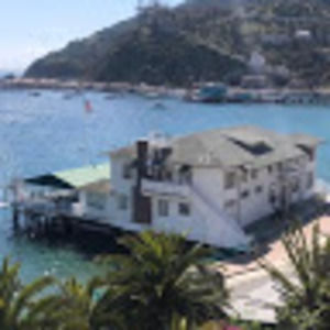 Meet your Posher, Patsy